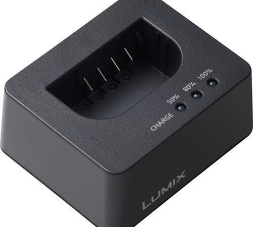 Panasonic DMW-BTC15 Battery Charger