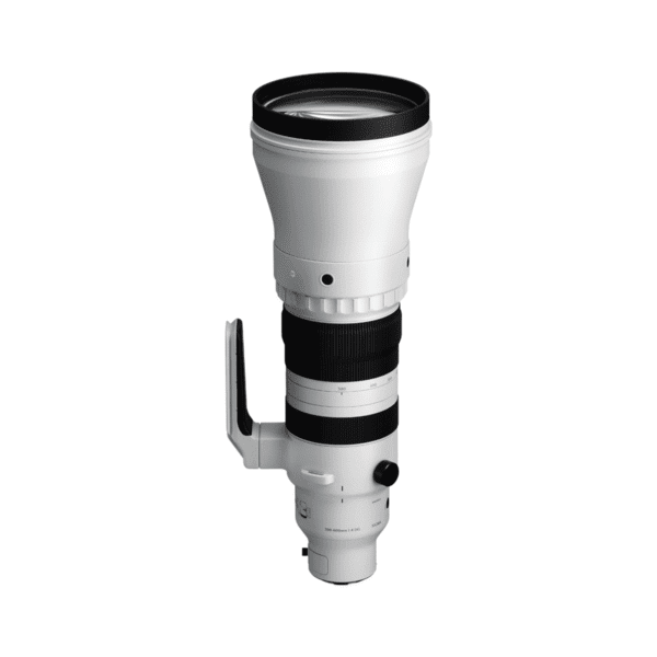 Sigma 300-600mm f/4 DG OS Sports Lens - L Mount